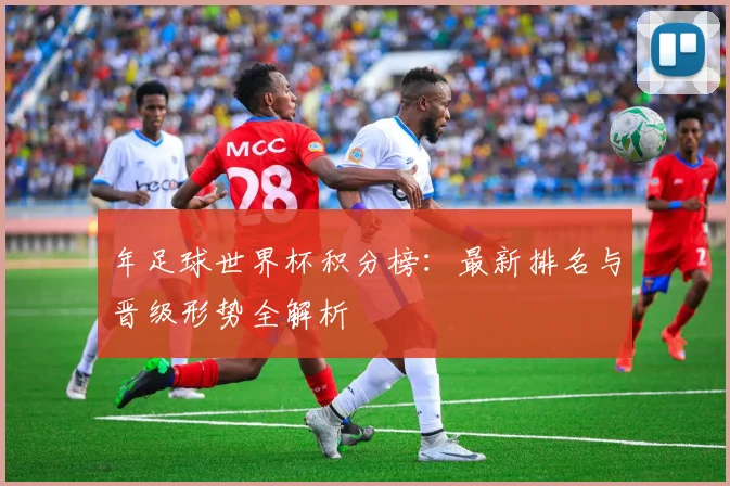年足球世界杯积分榜：最新排名与晋级形势全解析
